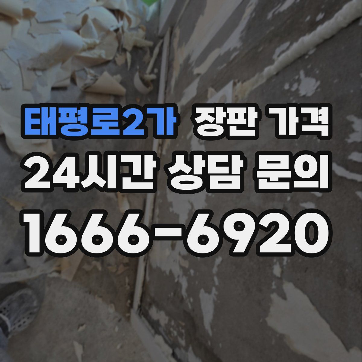 태평로2가 장판 가격