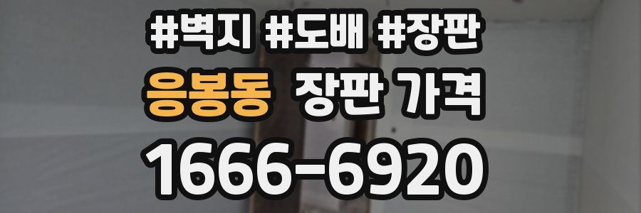 응봉동 장판 가격