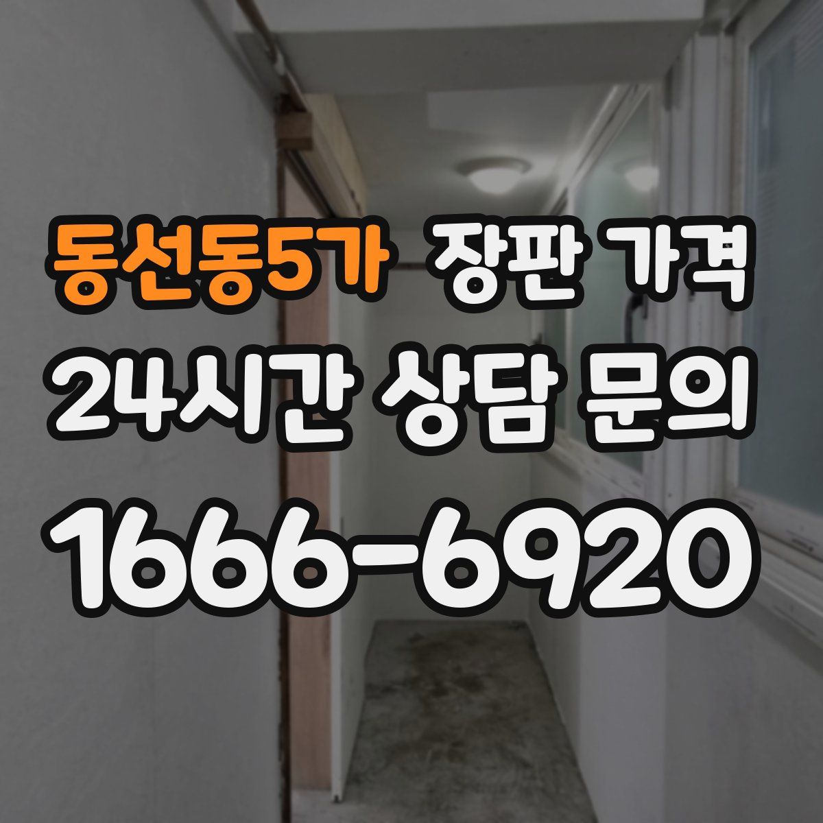 동선동5가 장판 가격