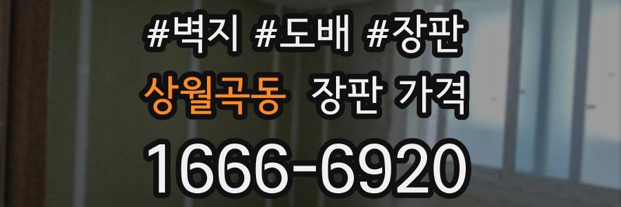 상월곡동 장판 가격