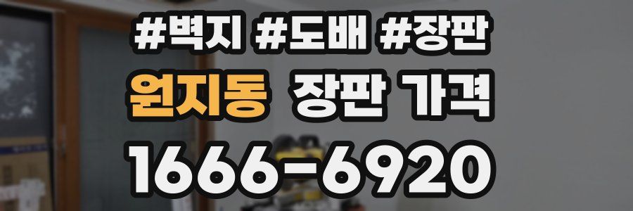 원지동 장판 가격