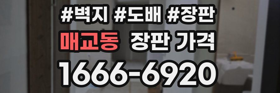 매교동 장판 가격