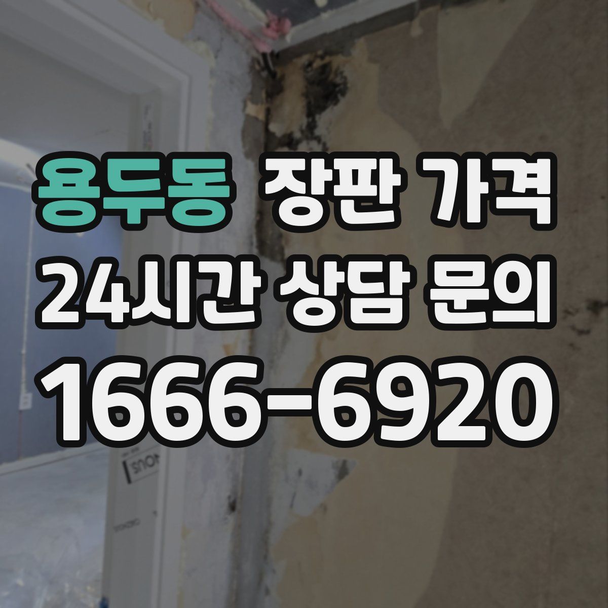 용두동 장판 가격