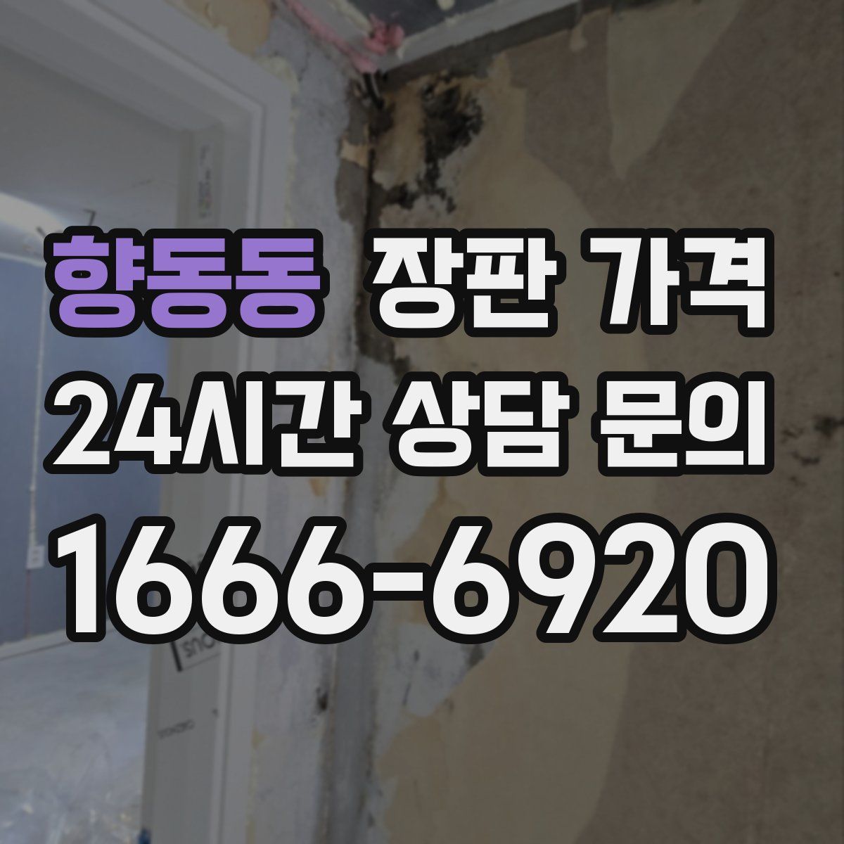 향동동 장판 가격