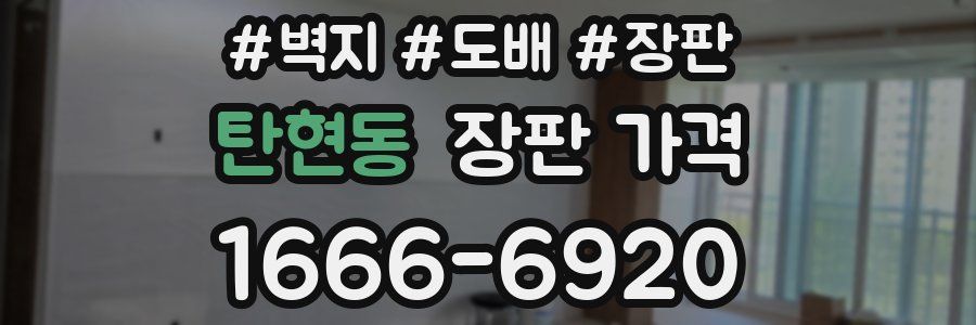 탄현동 장판 가격