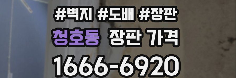 청호동 장판 가격