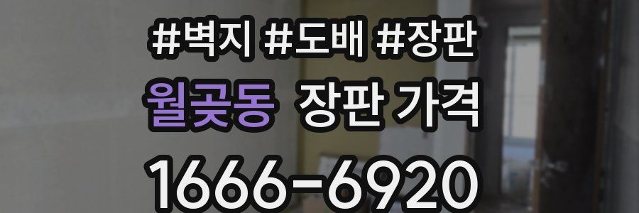 월곶동 장판 가격
