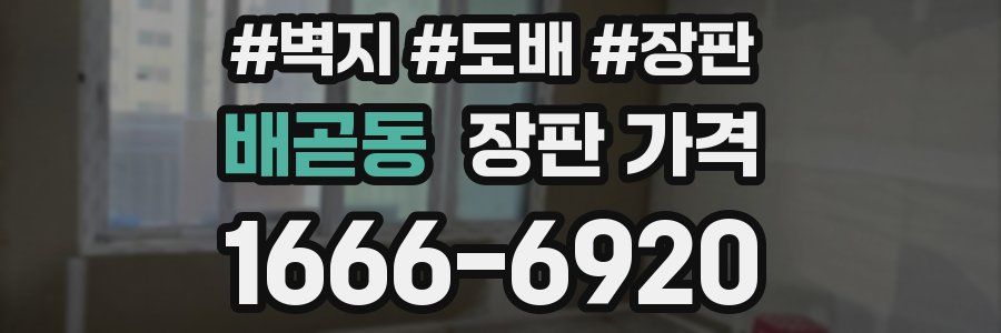 배곧동 장판 가격