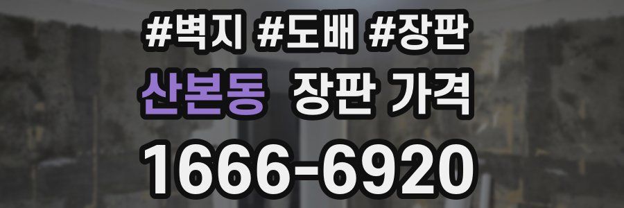 산본동 장판 가격