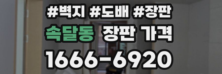 속달동 장판 가격