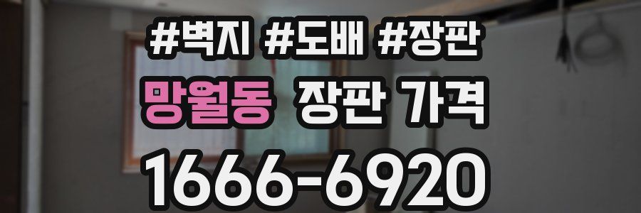 망월동 장판 가격
