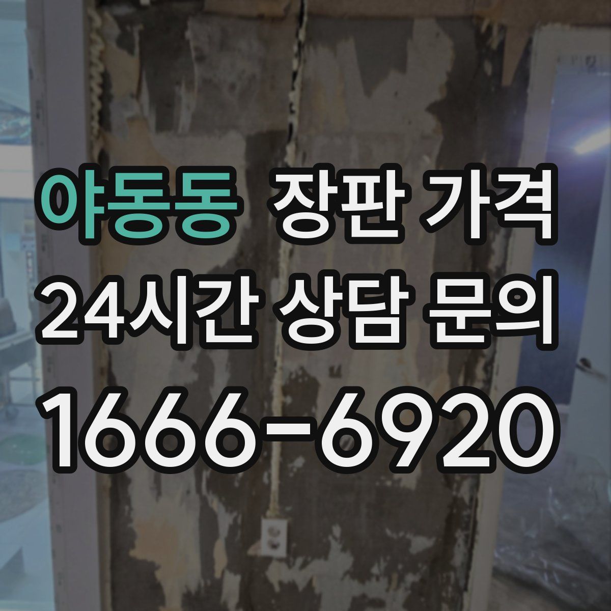 야동동 장판 가격