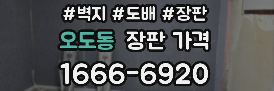 오도동 장판 가격
