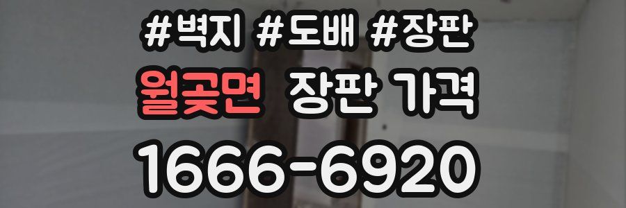 월곶면 장판 가격