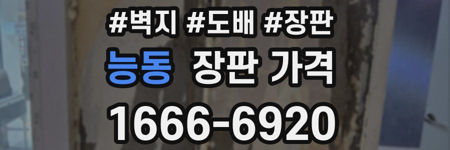 능동 장판 가격