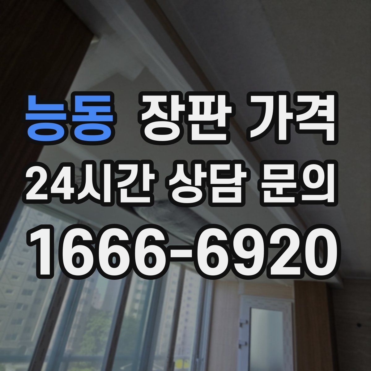 능동 장판 가격