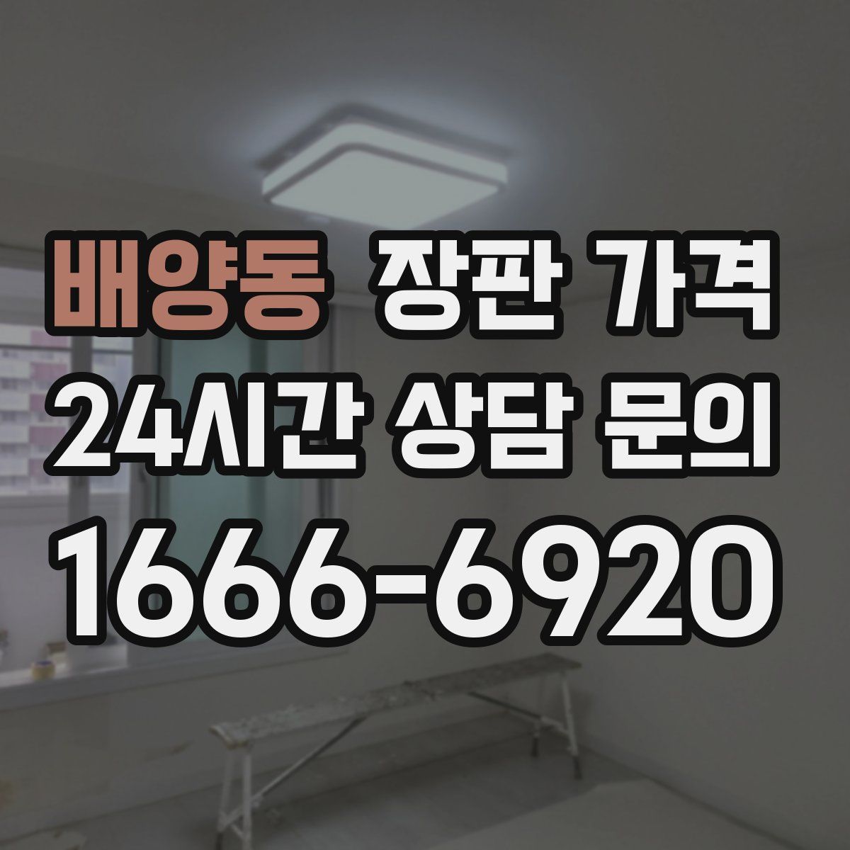 배양동 장판 가격