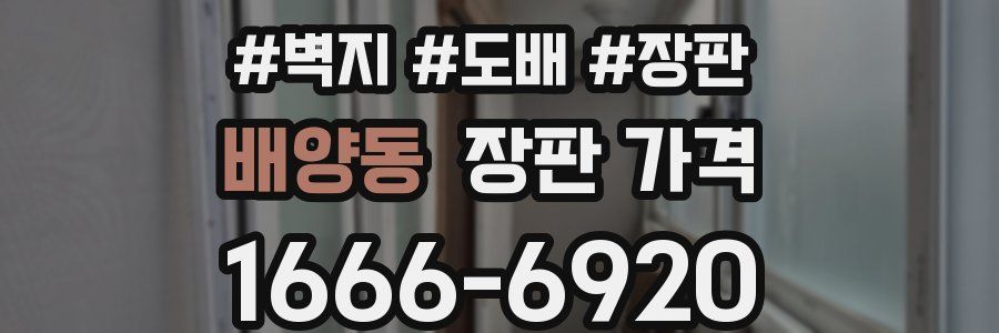 배양동 장판 가격