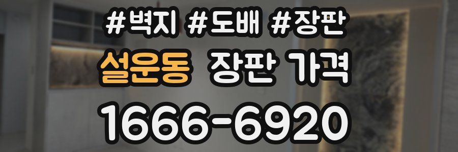 설운동 장판 가격