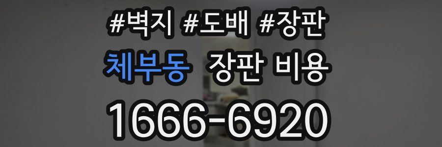 체부동 장판 비용