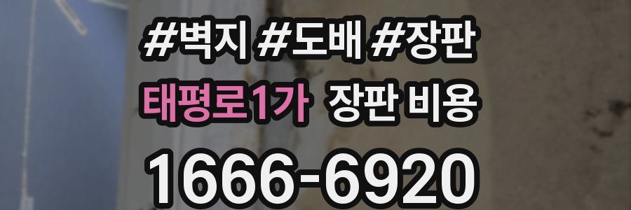 태평로1가 장판 비용