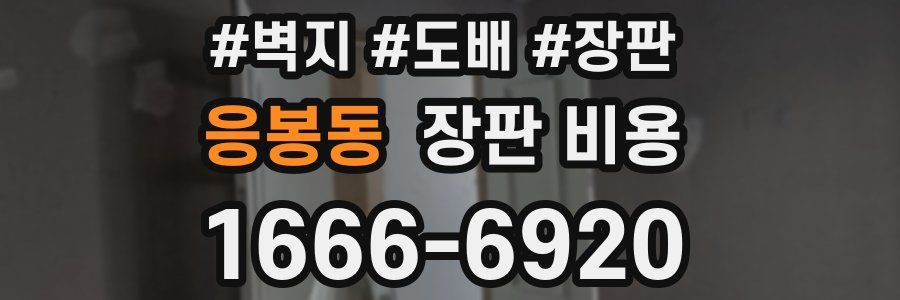 응봉동 장판 비용