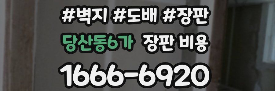 당산동6가 장판 비용