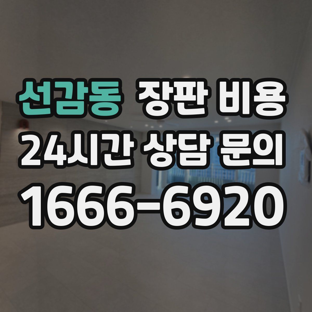 선감동 장판 비용