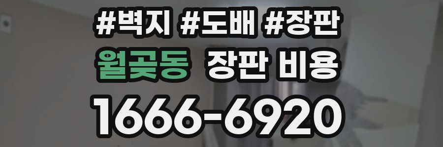 월곶동 장판 비용
