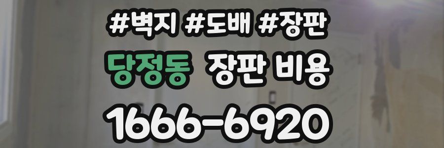 당정동 장판 비용
