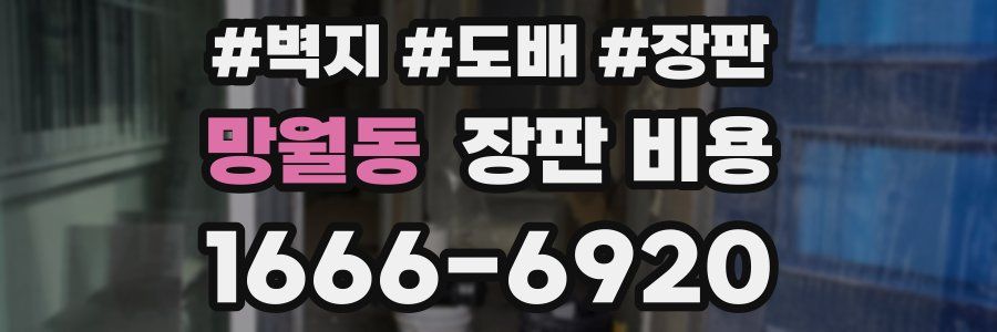 망월동 장판 비용