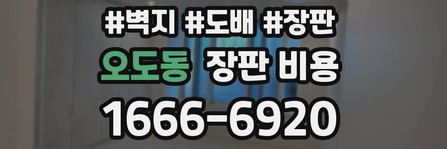 오도동 장판 비용