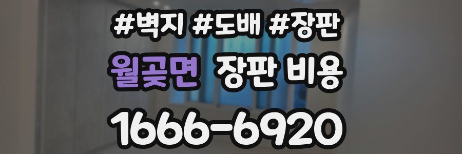 월곶면 장판 비용