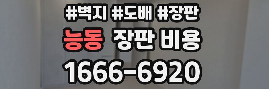 능동 장판 비용