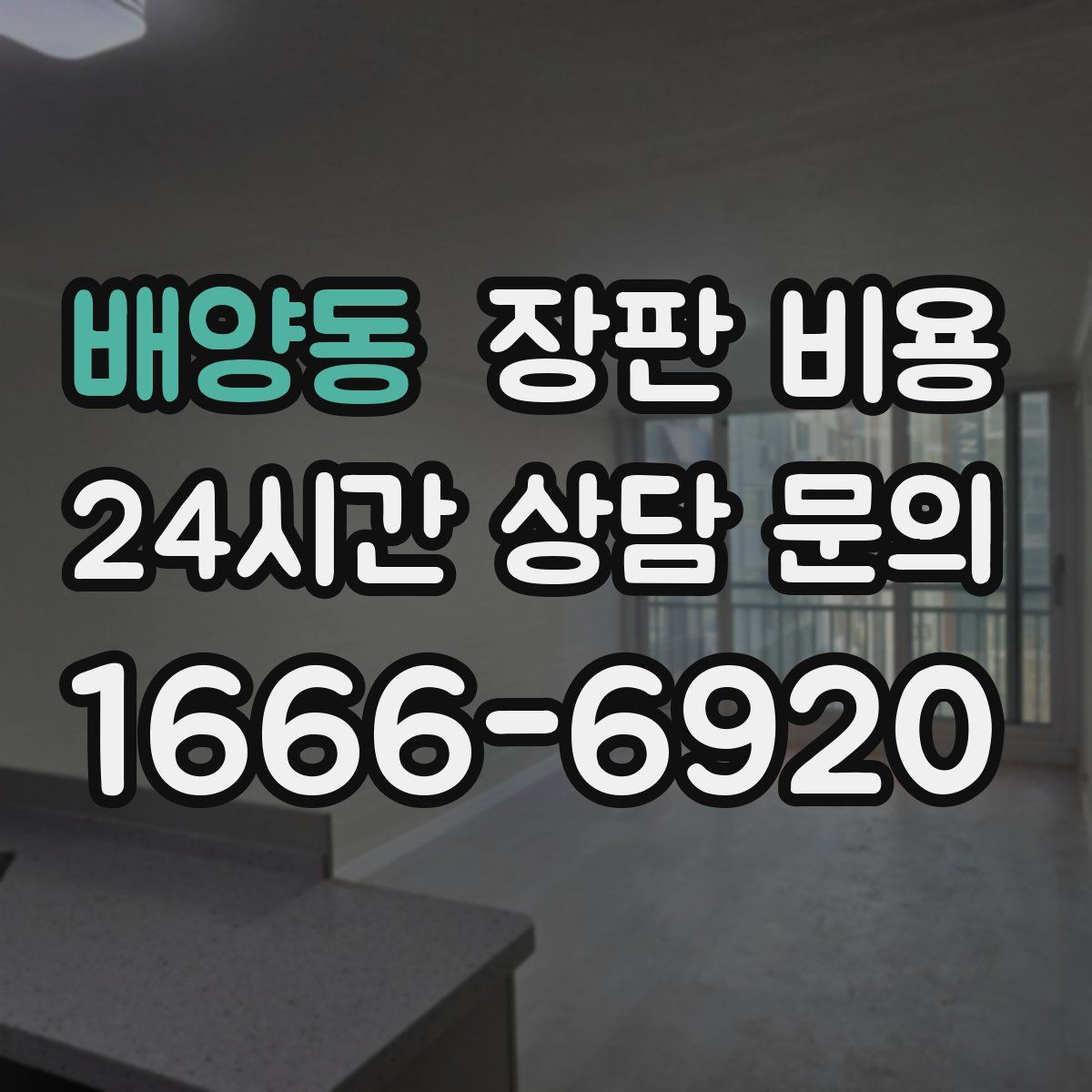 배양동 장판 비용