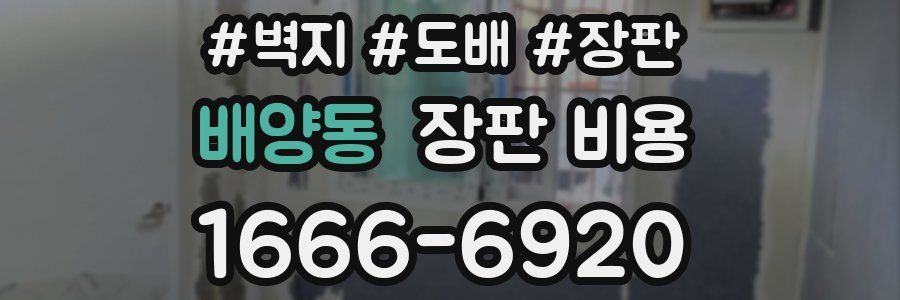 배양동 장판 비용