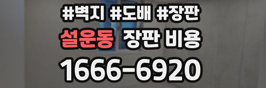 설운동 장판 비용