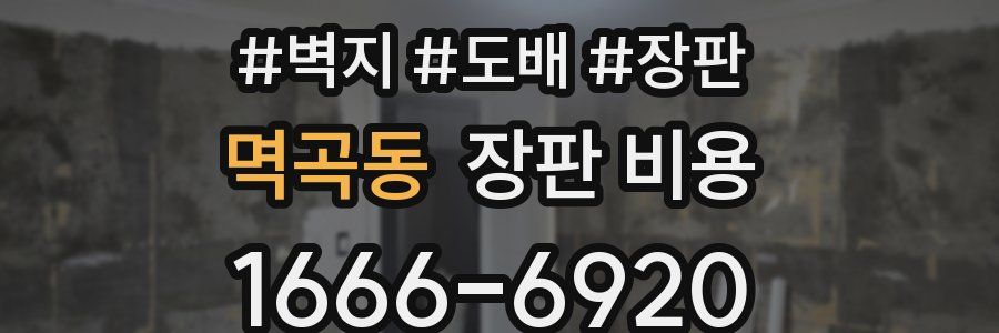 멱곡동 장판 비용