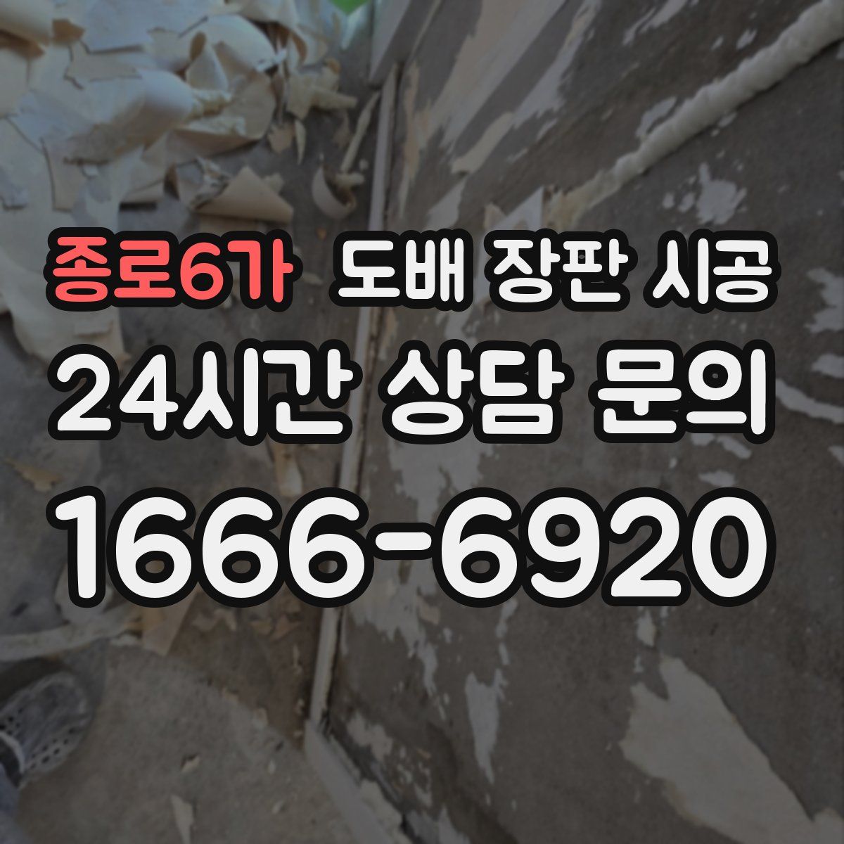 종로6가 도배 장판 시공