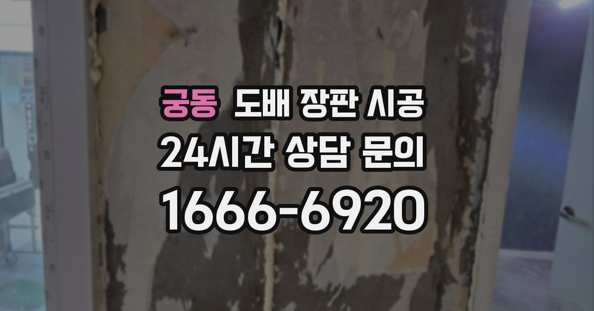 궁동 도배 장판 시공
