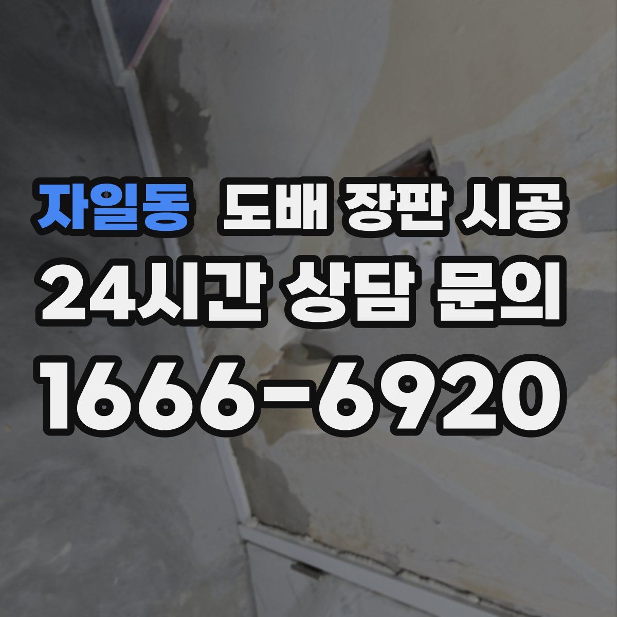 자일동 도배 장판 시공