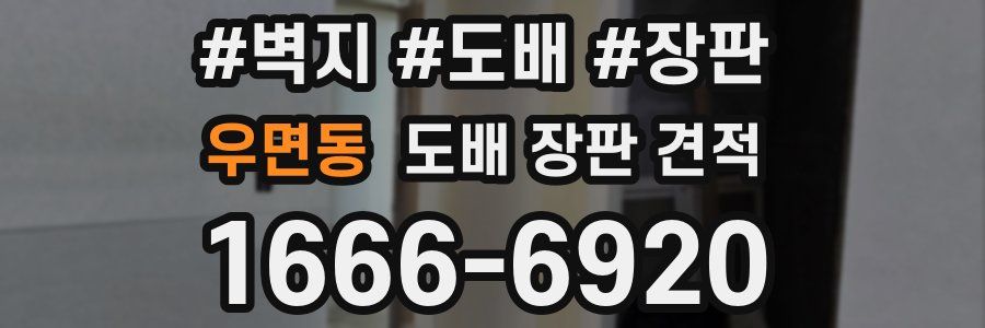 우면동 도배 장판 견적