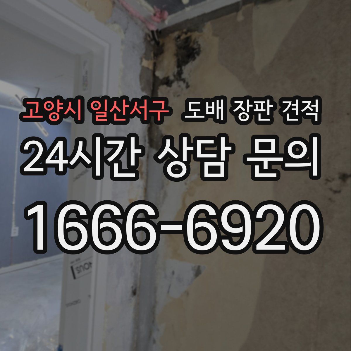 고양시 일산서구 도배 장판 견적