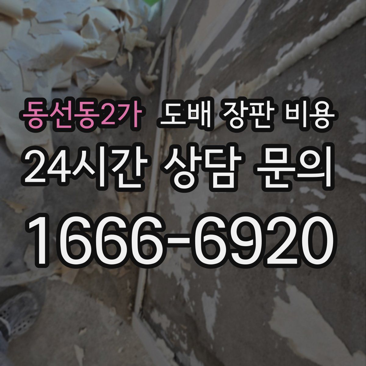 동선동2가 도배 장판 비용