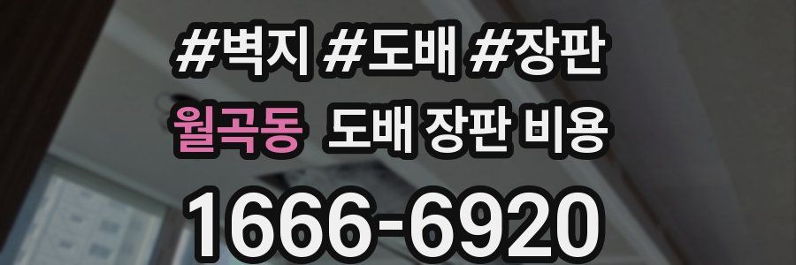 월곡동 도배 장판 비용