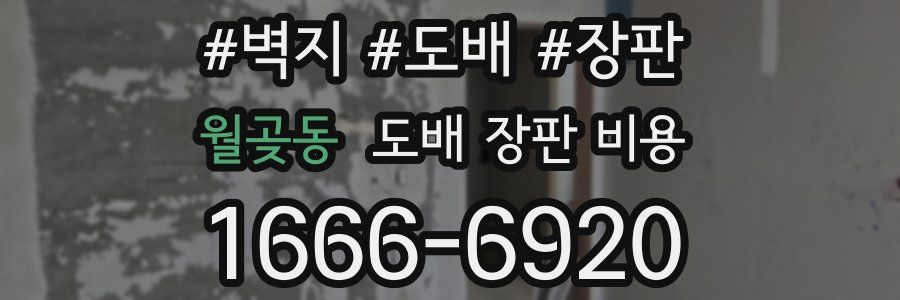 월곶동 도배 장판 비용