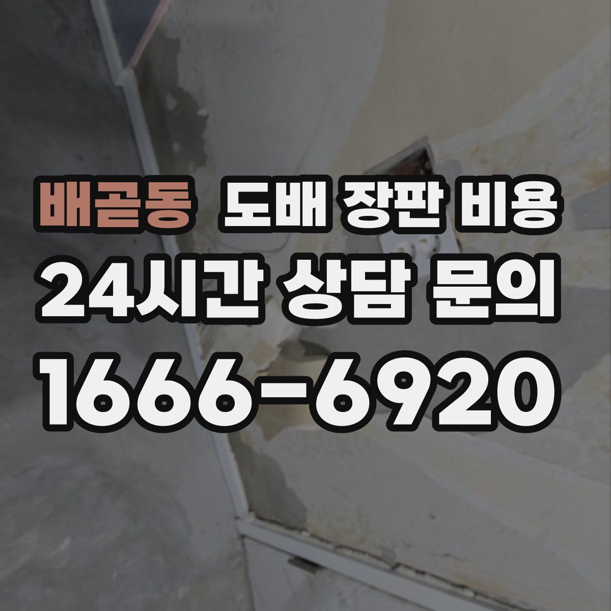 배곧동 도배 장판 비용