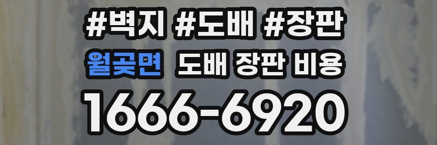 월곶면 도배 장판 비용