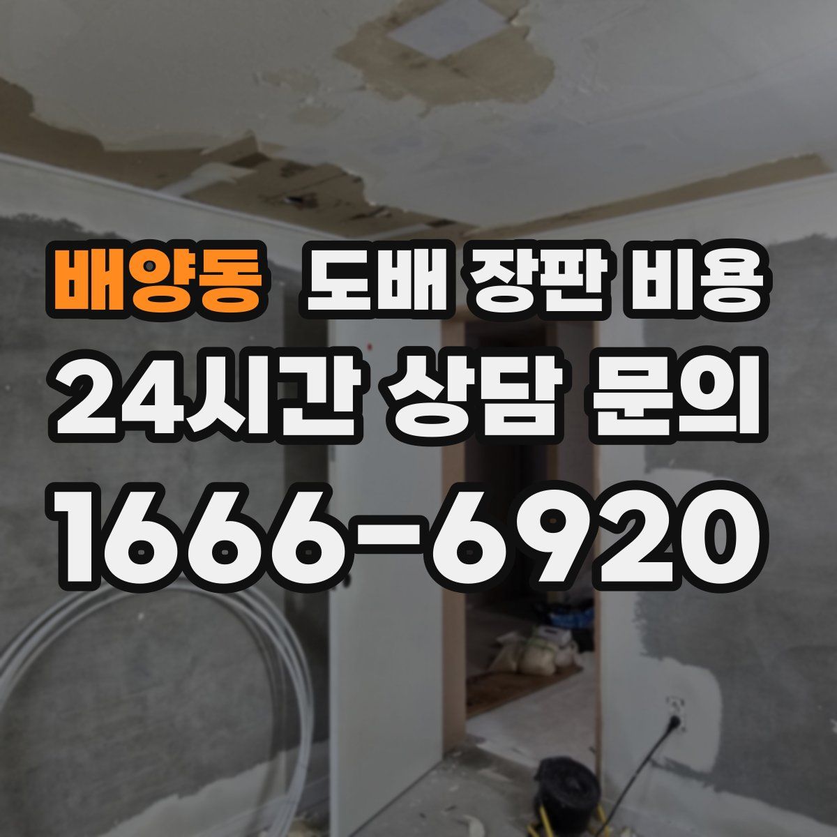 배양동 도배 장판 비용