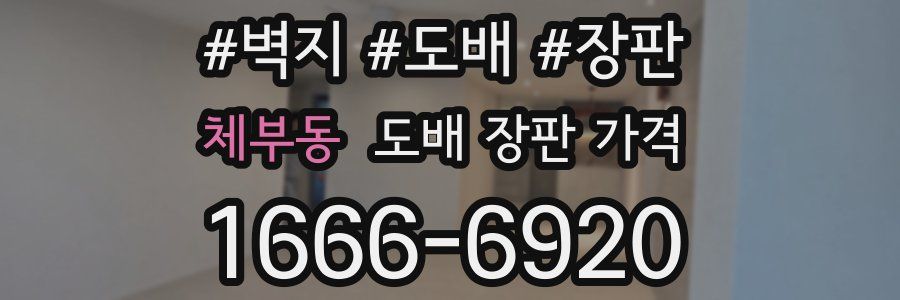 체부동 도배 장판 가격